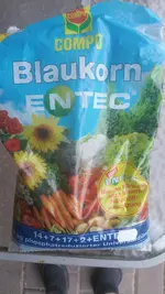 20200620_202209.webp