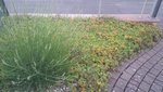 20200620_203630.jpg