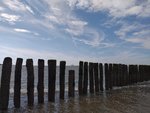 20200619_170355.jpg