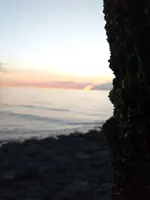 20200618_220329.webp