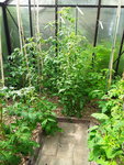20200621_101651.jpg