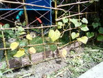 IMG_20200621_123125.jpg