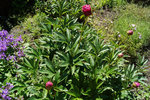 DSC00047.JPG