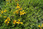 DSC00049.JPG