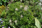DSC00052.JPG