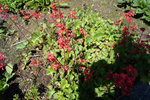 DSC00057.JPG
