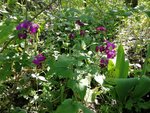 IMG_20200426_133519.jpg