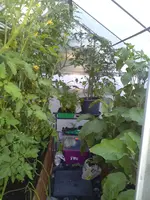 IMG_20200621_085315.webp