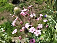 IMG_20200621_115632_1.jpg
