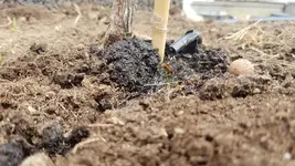 9da7c195-fcf8-4cd4-afff-c6e753456577.webp 9da7c195-fcf8-4cd4-afff-c6e753456577.webp