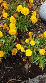 bb04c0e2-d096-4b50-a9be-f93b3544bccb.webp bb04c0e2-d096-4b50-a9be-f93b3544bccb.webp