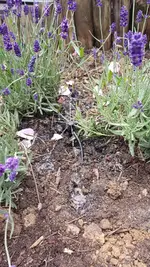 cd90cb25-ba2b-467d-9b80-9486bd7b5a8b.webp cd90cb25-ba2b-467d-9b80-9486bd7b5a8b.webp