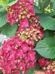 20200621_151752.jpg