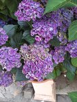 20200621_151716.jpg
