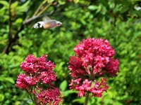 DSCF3743 (2).webp