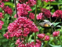 DSCF3747 (2).webp