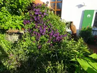 DSC01094.webp