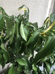 IMG_9071.JPEG