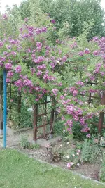 IMG_20200618_174929.webp