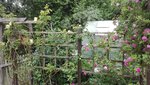 IMG_20200611_171133.jpg