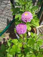 20200622_143619.webp