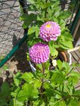 20200622_143619.jpg