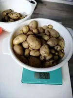 kartoffeln.webp