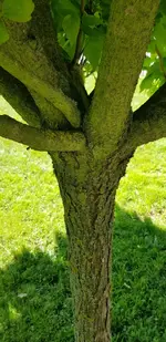 244b56ae-8c34-44c5-ab09-41e613884907.webp