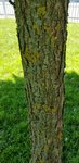 ae0f953e-2662-4b57-b937-2ecc9ea45ba4.jpg ae0f953e-2662-4b57-b937-2ecc9ea45ba4.jpg