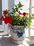 20200623_132145.jpg