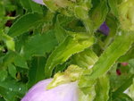 IMG_20200615_094703.jpg