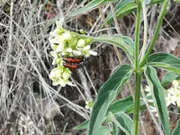 IMG_20190610_094057.webp