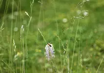 image003.jpg