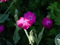 A9025E0A-07F0-4164-8137-A05A4E3F95CD.webp