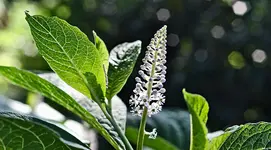 K3__0590_01.webp