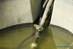 comp_DSC09058.jpg