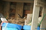 comp_DSC09064.jpg