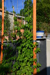 DSC_403a.JPG