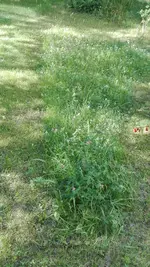 IMG_20200623_173504.webp