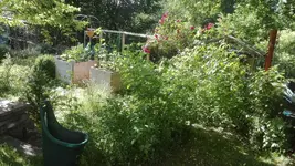 IMG_20200623_173727.webp