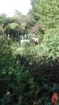 IMG_20200623_172944.jpg