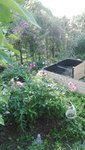 IMG_20200623_172846.jpg