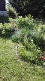 IMG_20200623_172528.webp