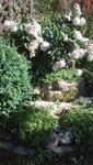 IMG_20200623_174148.jpg