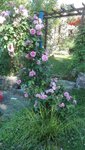 IMG_20200623_174221.jpg