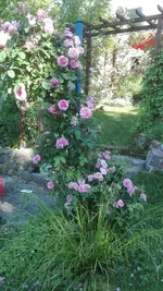 IMG_20200623_174221.webp