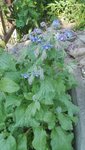 IMG_20200623_174659.jpg