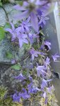 IMG_20200623_174520.jpg