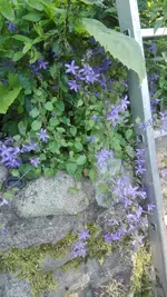 IMG_20200623_174513.webp
