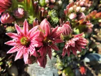 DSCF3760 (2).webp